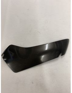 Carbon Vindskærm venstre 2