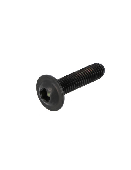 Skrue M6×25 77240463C – original | Madsens Online
