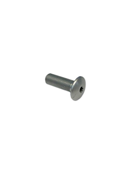 Skrue vindskærm M4×15 mm 77510071AB – original | Madsens Online