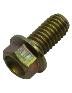 Skrue M6×12 CH8 - original