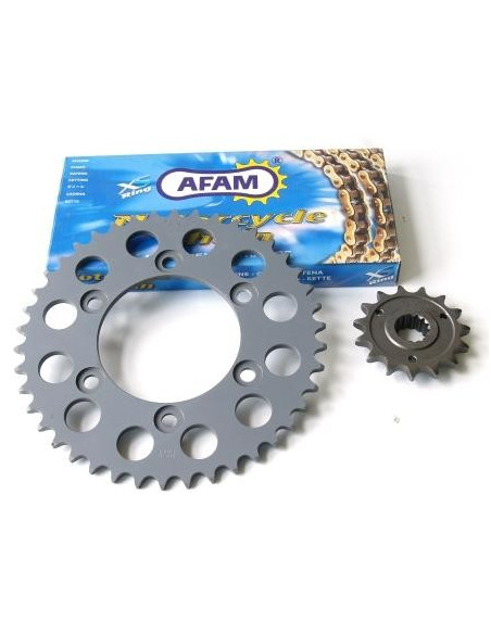 Kædekit - AFAM - Ducati 600 Pantah AFAM-05170200 | Madsens Online
